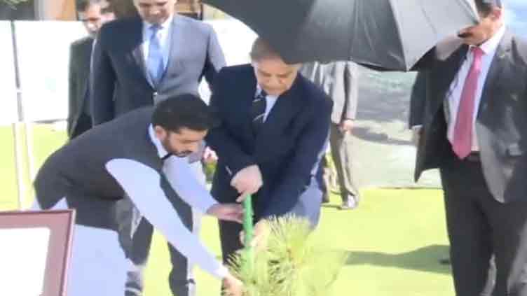 PM launches 2025 Spring Tree Plantation Drive