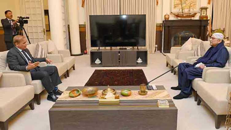 PM Shehbaz meets President Zardari amid regional tensions after Pahalgam  incident 
