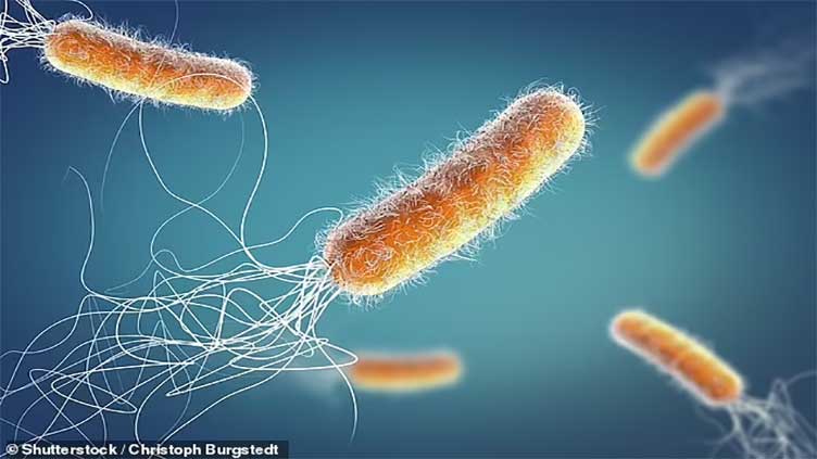 Scientists warn deadly pathogens can survive in home washing machines