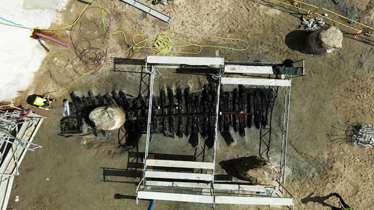 Dig in Spanish former fish market reveals medieval maritime treasure