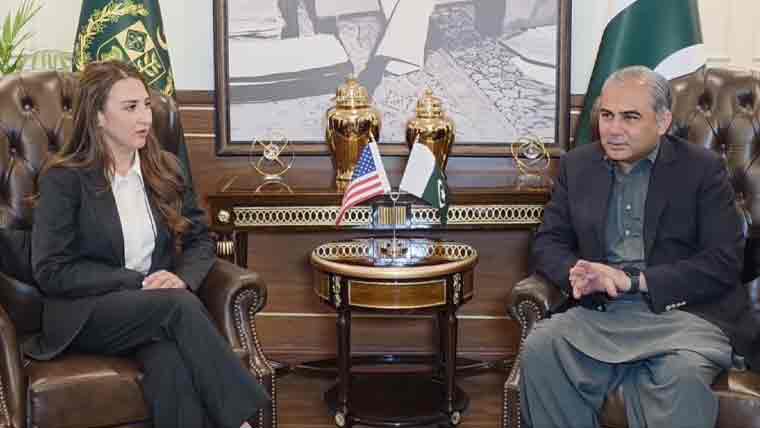 محسن نقوی سے امریکا کی قائم مقام سفیر کی ملاقات، موجودہ صورتحال پر تبادلہ خیال