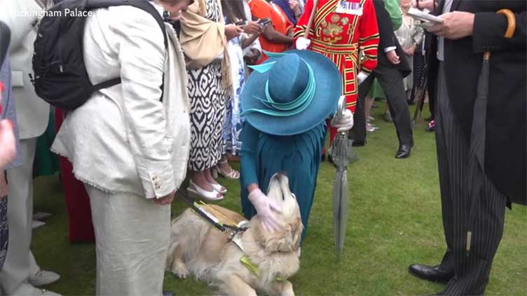 I'm very honoured to meet him: Queen Camilla makes friends with guide dog