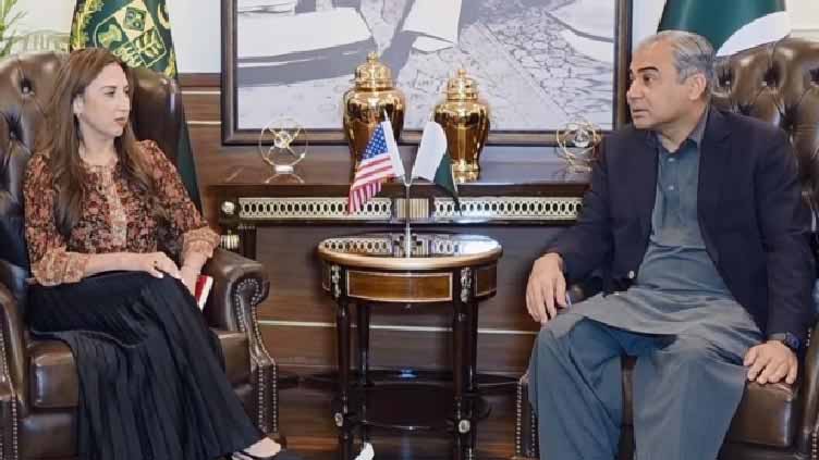 Naqvi calls on acting US ambassador to discuss evolving situation