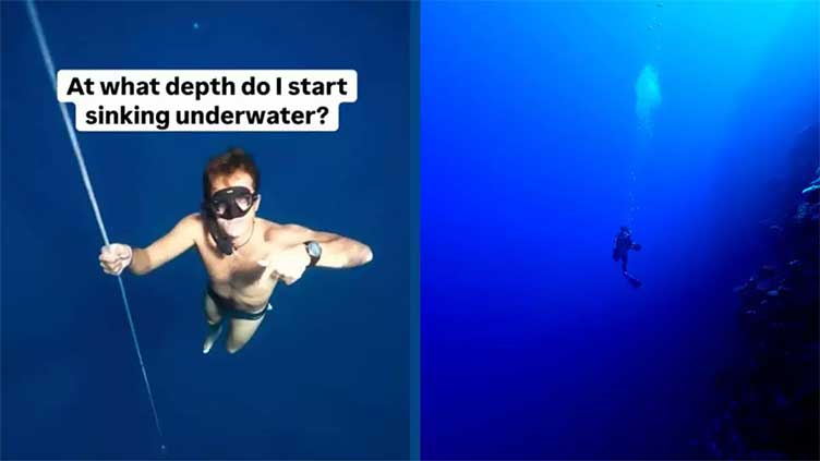Man drops 65 feet into ocean depths to prove terrifying truth about sea