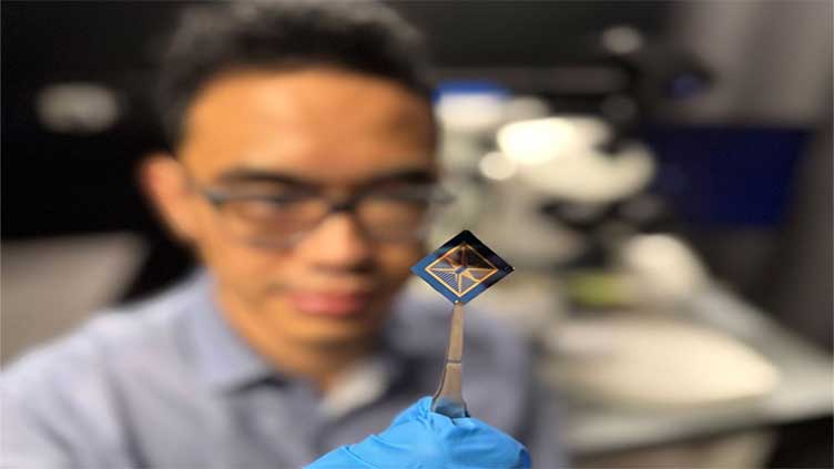 Tiny device processes information like a human brain