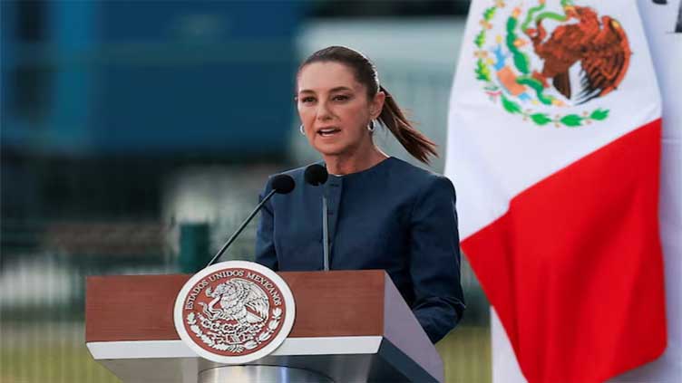 Top security team investigating TikTok murder of Mexican beauty influencer, president says