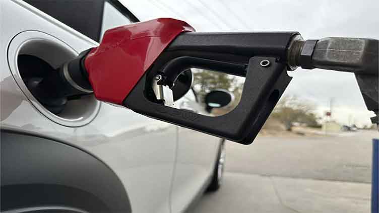 US wholesale prices dropped 0.5% last month despite President Trump's tariffs