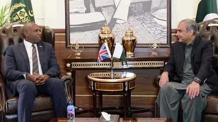 Pakistan acts as bulwark against terrorism, Naqvi tells UK foreign secretary