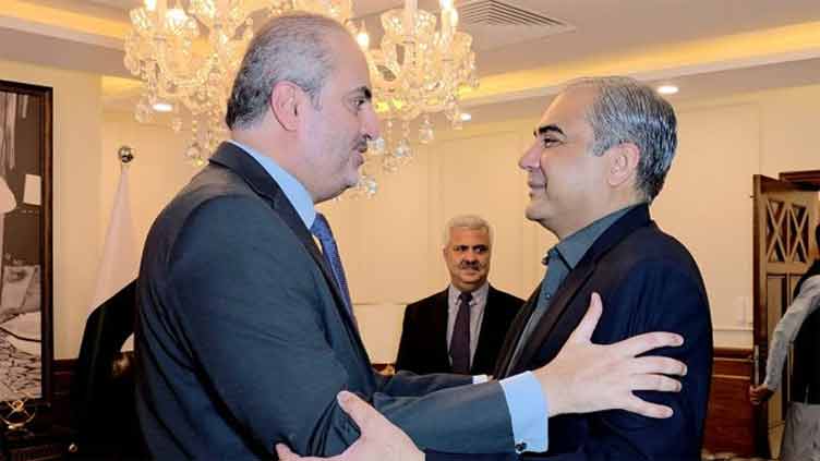 Mohsin Naqvi calls for strengthening Pak-Qatar bilateral ties
