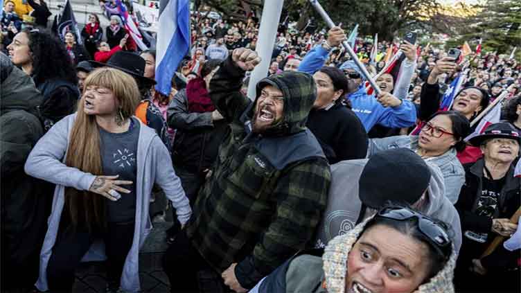 How uproar over a Māori haka, beloved in New Zealand life, sowed chaos and gridlock in Parliament