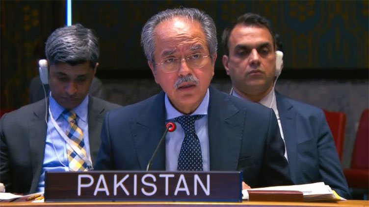 Pakistan draws UNSC's attention to India's 'aggressive' naval buildup