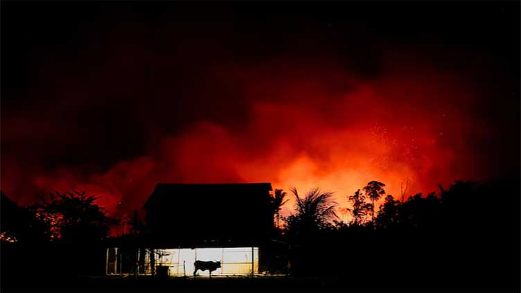 Dunya News Amazon fires drive unprecedented global forest loss in 2024, report says