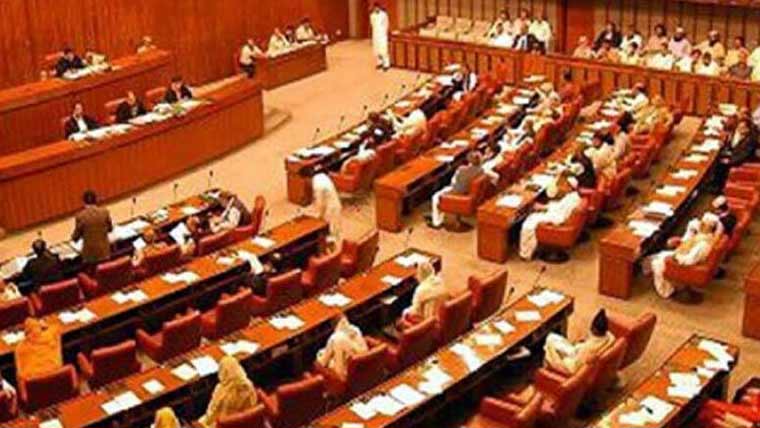 پاکستان نیوی آرڈیننس میں ترمیم کابل سینیٹ میں پیش