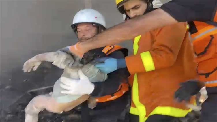Nine of a doctor's 10 children are killed in Israel's latest strikes in Gaza