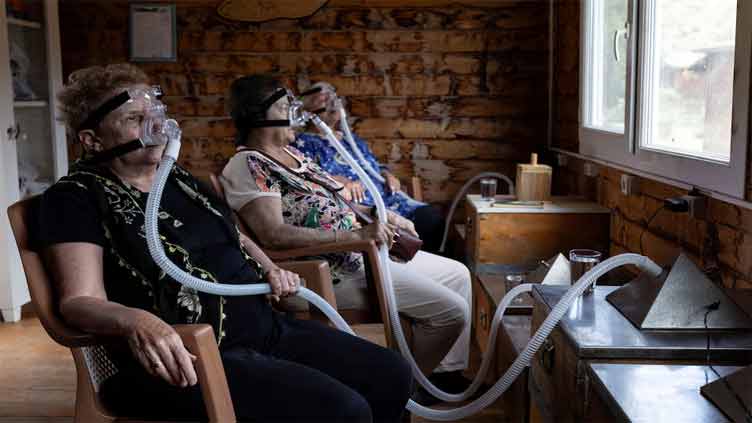 Air from beehives comforts patients in Turkiye