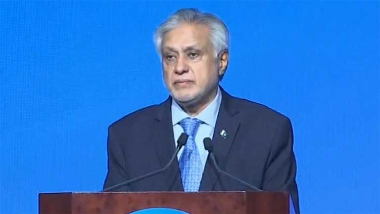 DPM Ishaq Dar urges world to take notice of India's IWT withdrawal 