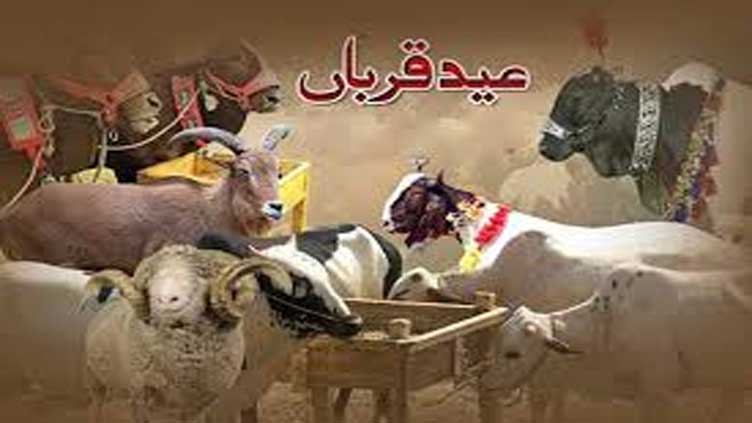 Federal government announces four Eidul Azha holidays
