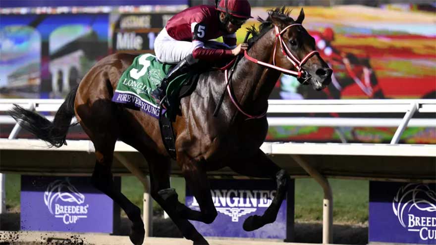 Forever Young gives Japan first Breeders' Cup Classic triumph