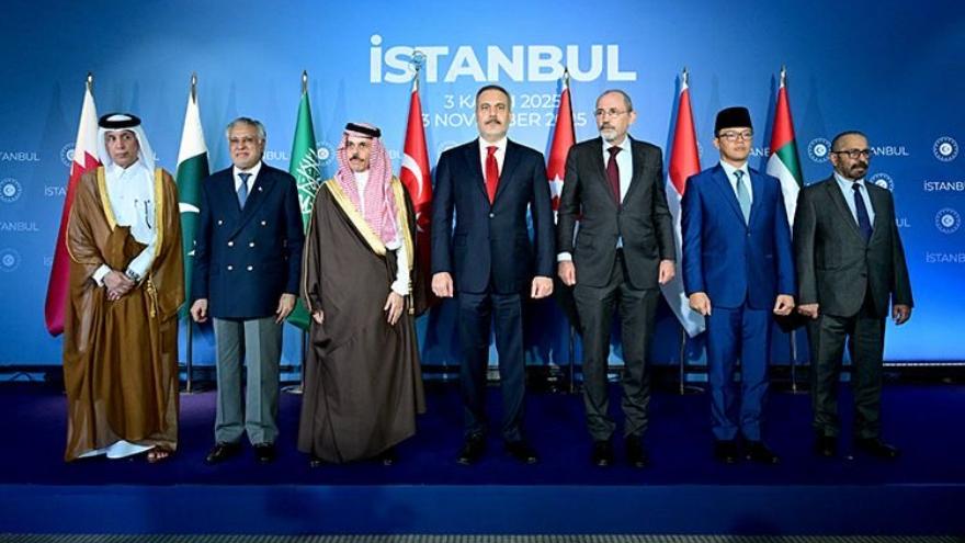 Pakistan, Muslim nations demand Israel's full withdrawal from Gaza