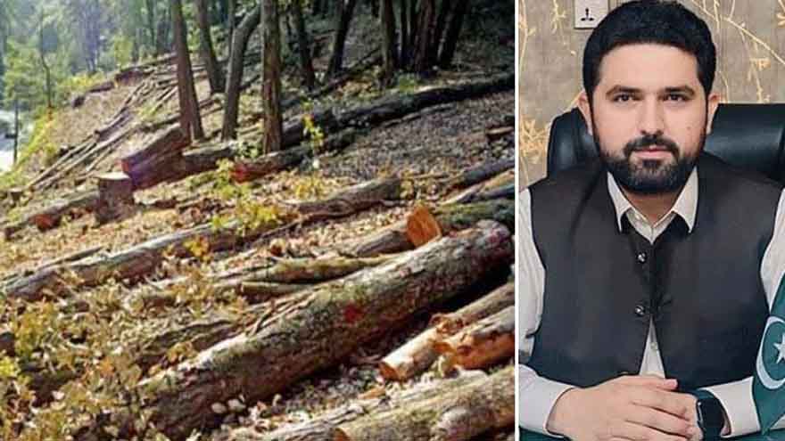 KP CM orders zero tolerance against timber mafia