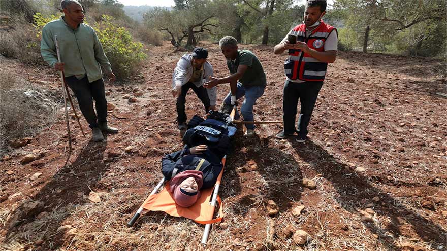 Israeli settlers attack Palestinians, journalists at West Bank olive harvest, witnesses say