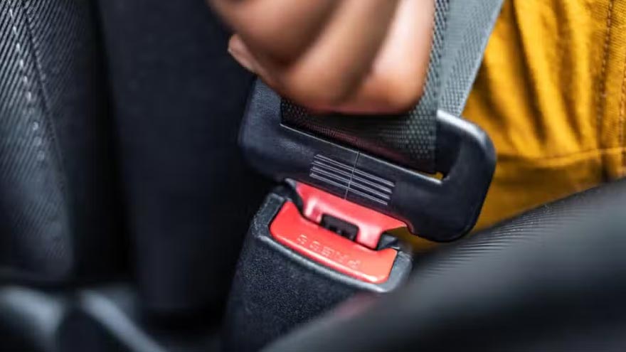 Viral seatbelt T-shirt sparks social media trend amid e-challan rollout