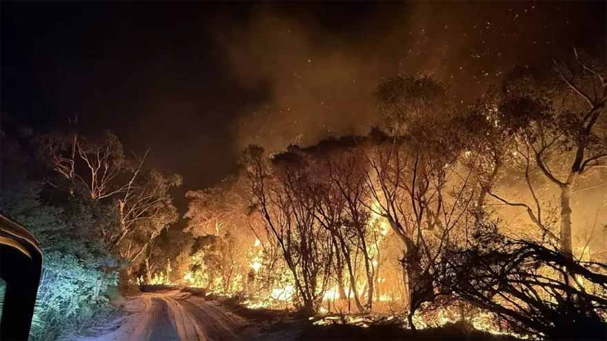 New Zealand authorities send extra fire planes to battle 1,100-hectare wildfire