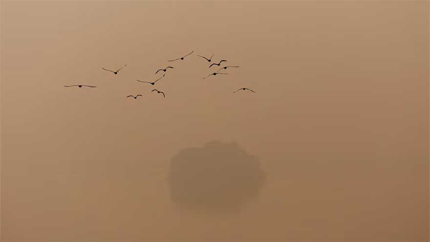 New Delhi police detain dozens in anti-pollution protests