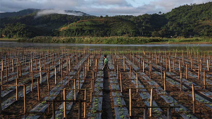 Toxic mines put Southeast Asia's rivers, people at risk, study says