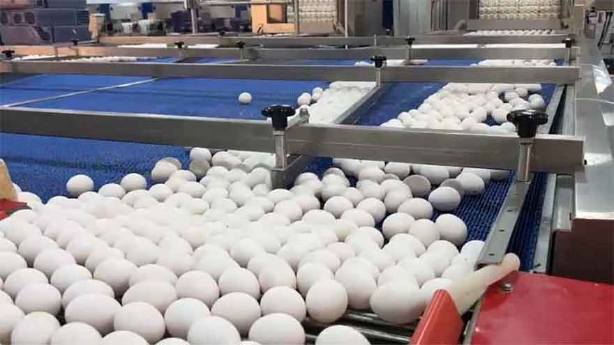 Pakistani firm lands multi-million dollar export order from Saudi Arabia