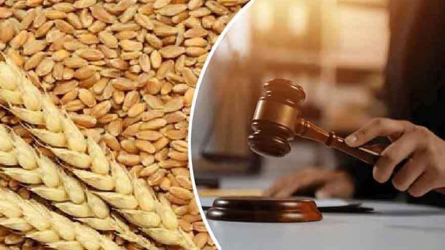 FCC overturns SHC ruling on wheat quota policy