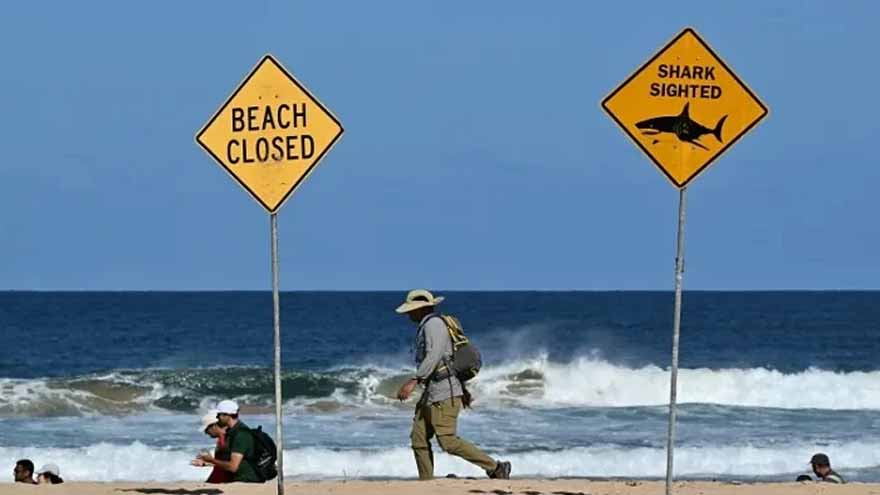 Shark kills swimmer, injures another in dawn attack on Australian beach