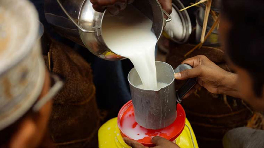 Milk prices in Karachi remain unchanged