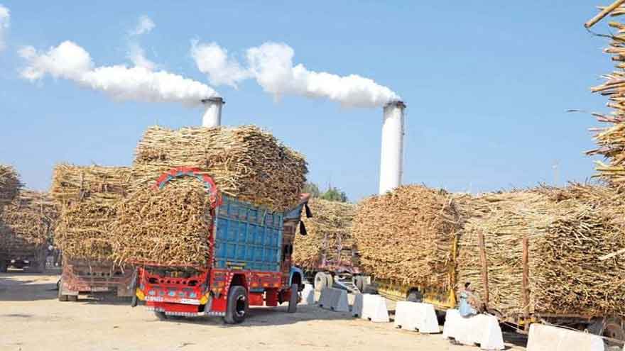 Competition commission busts sugar mills cartel, issues show-cause notices to 10 mills