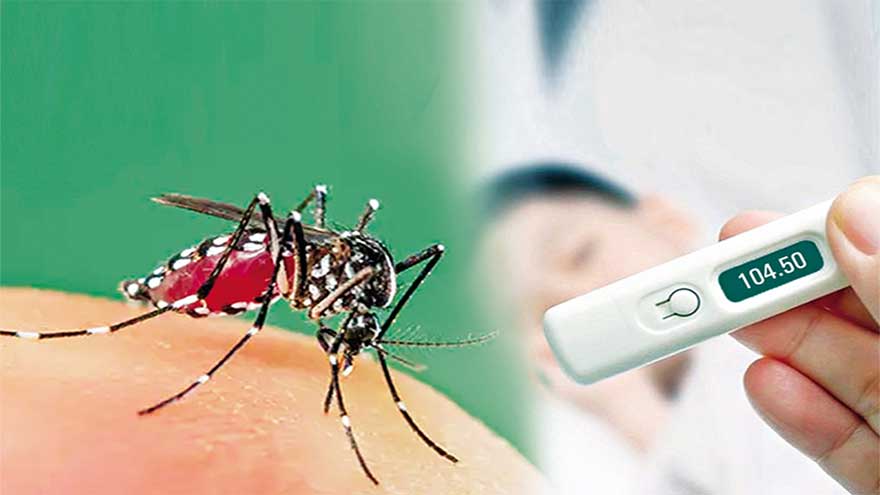Minister stresses need to make dengue prevention drives effective