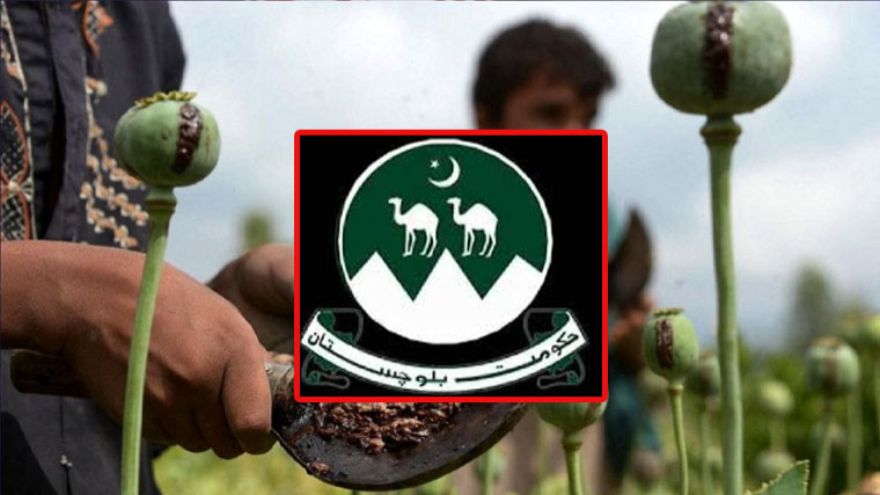 Sale and transport of poppy seeds banned across Balochistan
