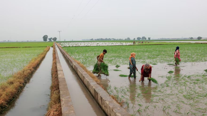 Solar-powered farming is digging Pakistan into a water catastrophe