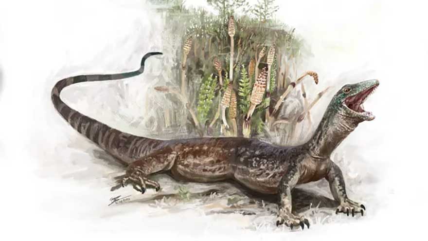 Mysterious 160m -year-old creature unearthed in Scotland is part lizard, part snake
