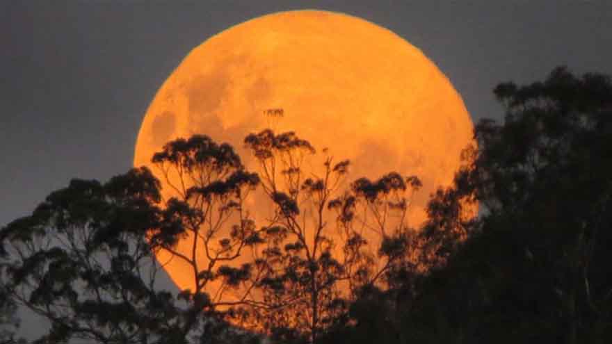 First 'supermoon' of the year to light up skies tonight