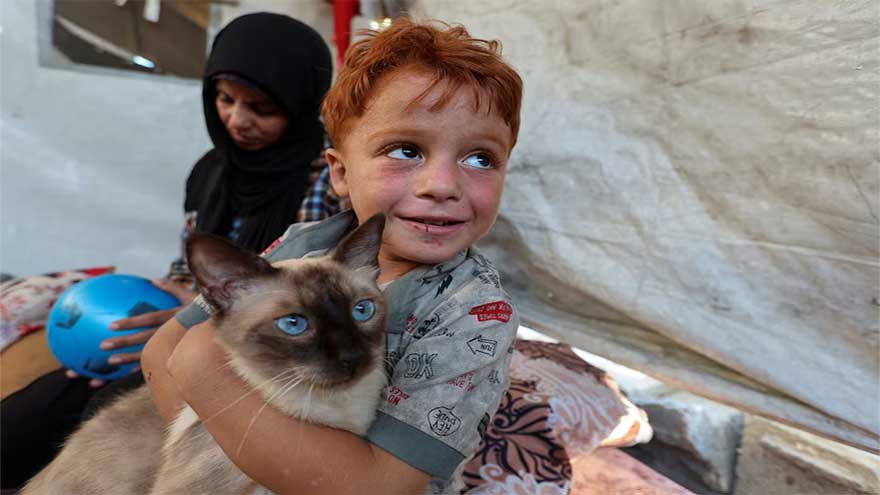 Two years after she was pictured in grief, Gaza woman faces more misery