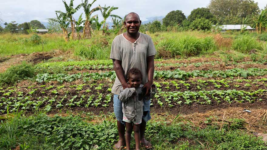 'Backyard fireworks' of WWII bombs still litter Solomon Islands