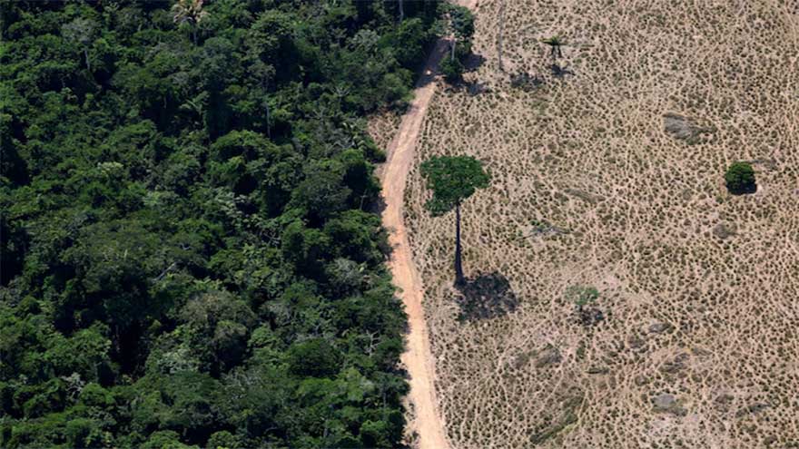 World falling far behind deforestation goals with farms and fires driving loss, report says