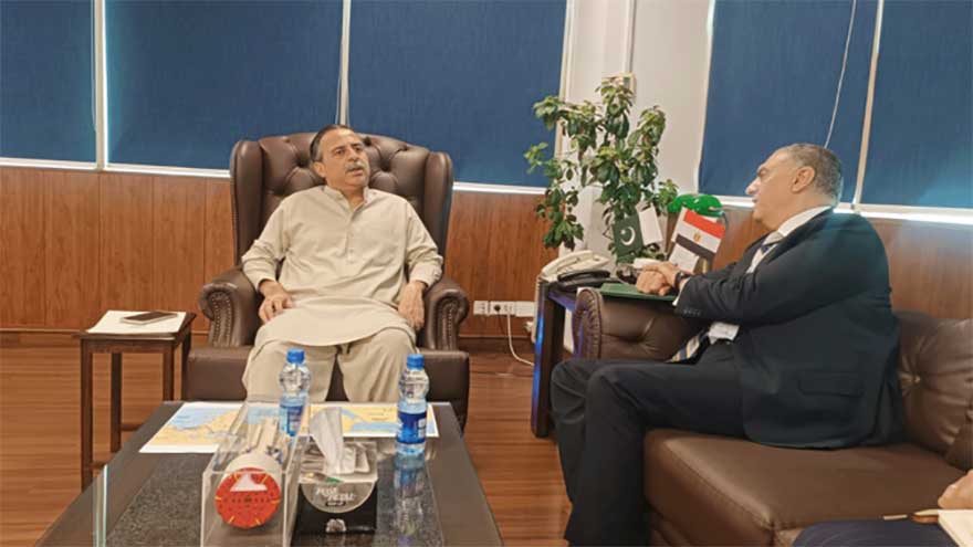Pakistan plans to replicate Egypt's Suez Canal free zone model in its ports: minister