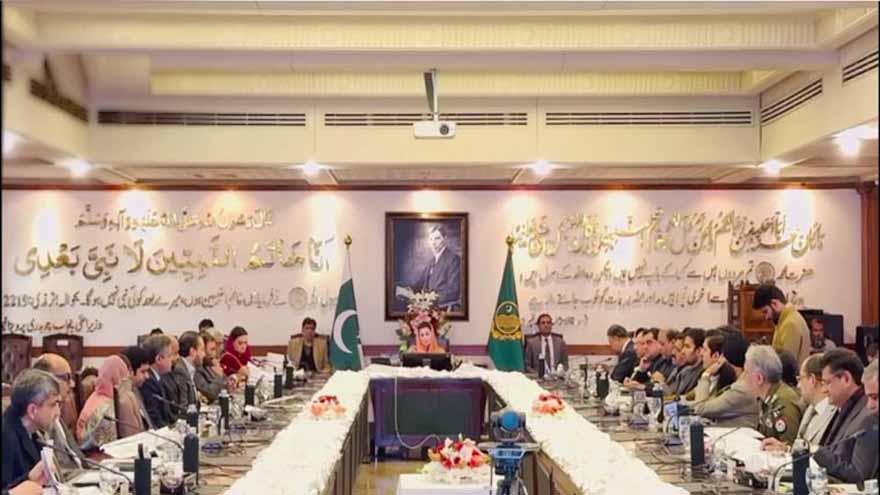 Punjab government vows to take stern action against miscreants amid TLP crackdown