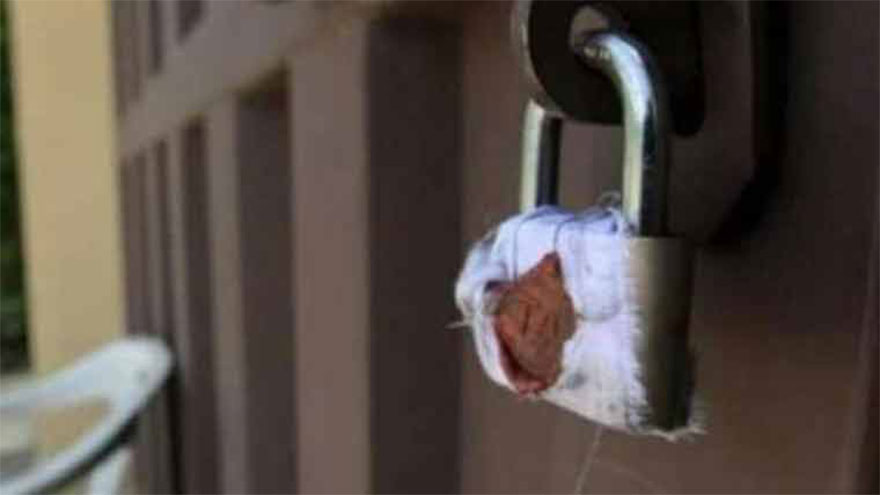 TLP's offices, mosques, seminaries sealed in Islamabad