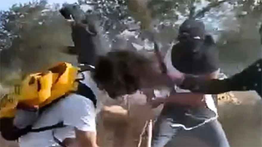 Israeli settlers beat Palestinian farmers on video as attacks mount during West Bank olive harvest