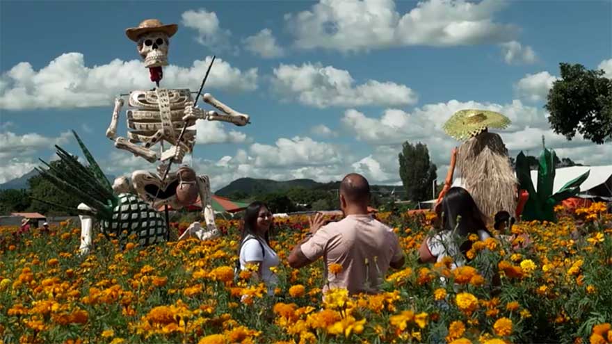 Skeletons parade opens Day of the Dead celebrations in Mexico City