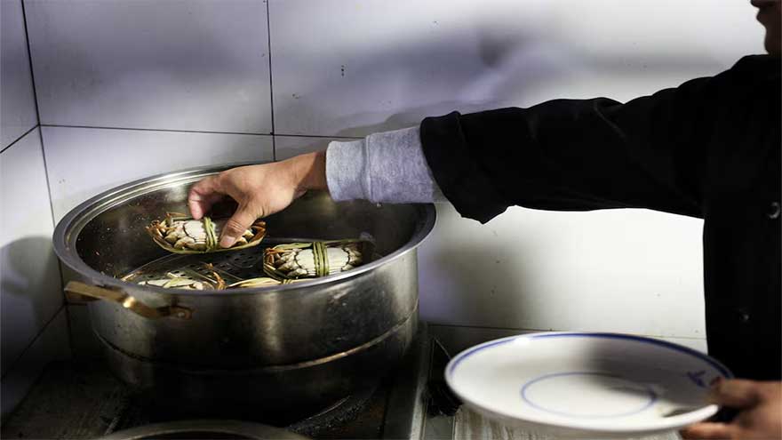 China's heatwaves threaten to dry up supply of delicious 'hairy crabs'