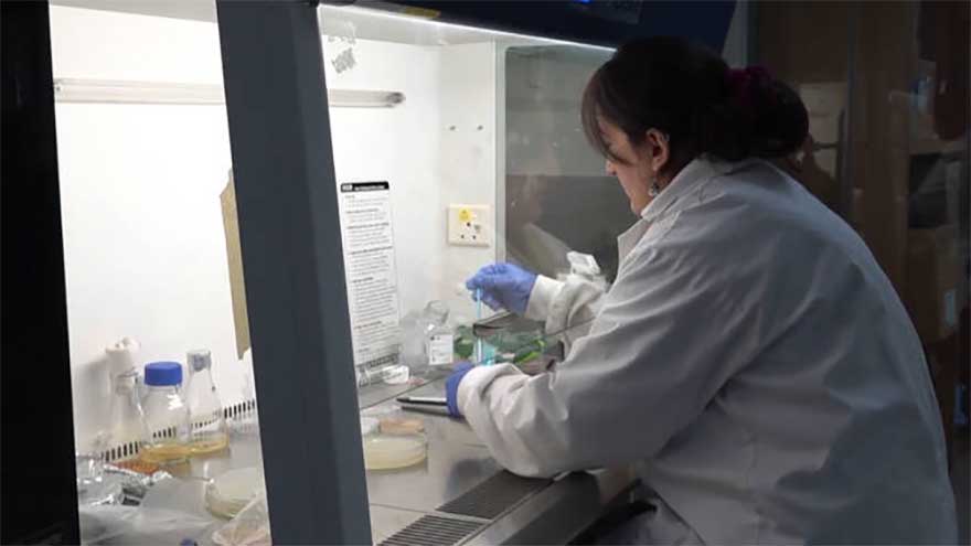 Saudi-Pakistan biotech pact seeks to harness AI to predict, prevent diseases