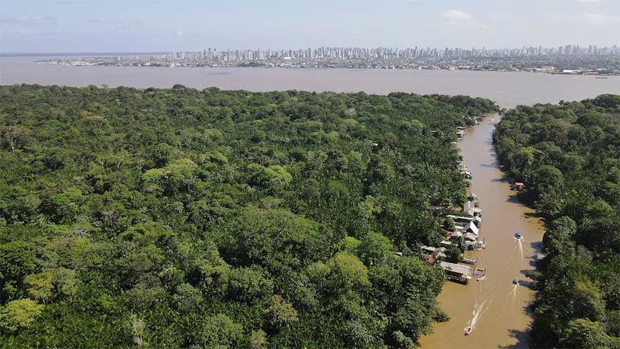 Dunya News Scientists run climate 'time machine' in Amazon as Brazil preps for COP30